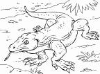 Asian Animal Coloring Book Coloring Pages 4 U