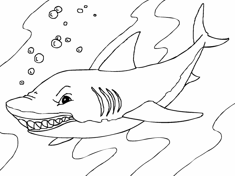 Shark coloring page - Coloring Pages 4 U