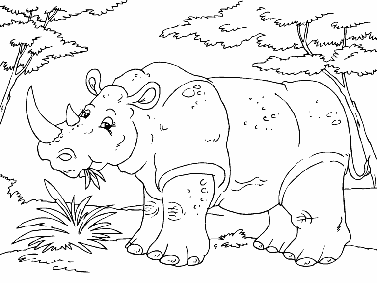 Rhinoceros coloring page - Coloring Pages 4 U