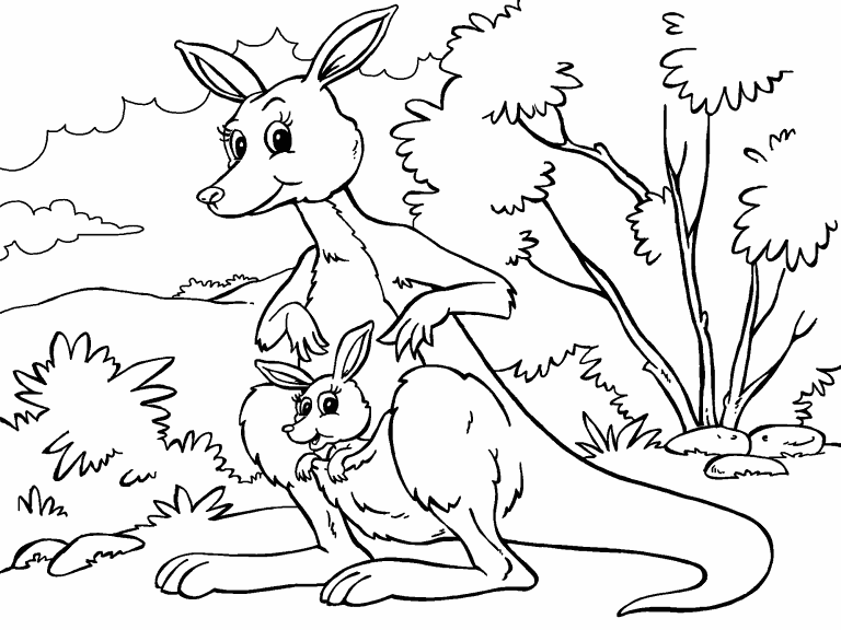 Kangaroo coloring page - Coloring Pages 4 U