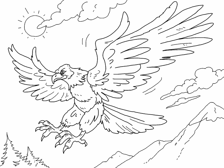 Eagle coloring page - Coloring Pages 4 U