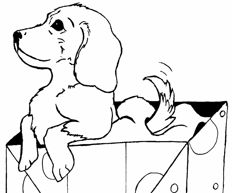 Puppy Gift coloring page - Coloring Pages 4 U