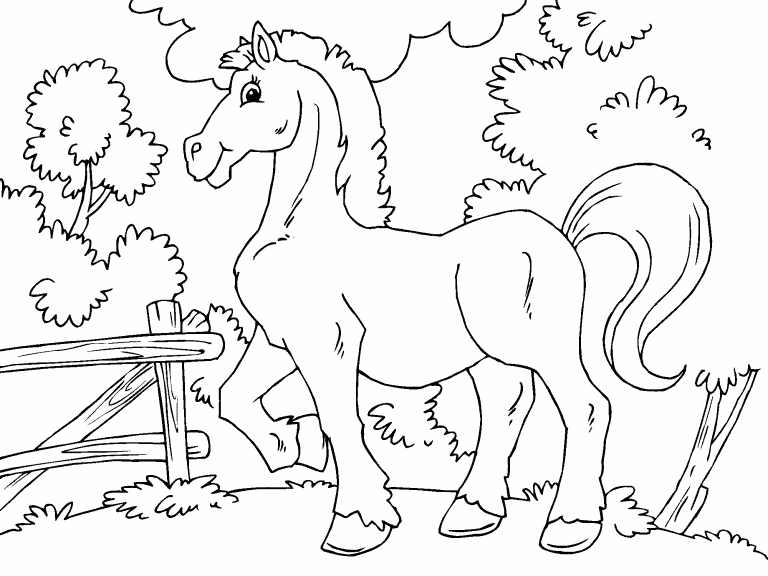 Horse coloring page - Coloring Pages 4 U